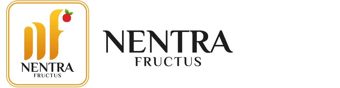 Nentra Fructus – Kochi